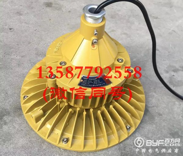 防爆免维护LED灯 20W