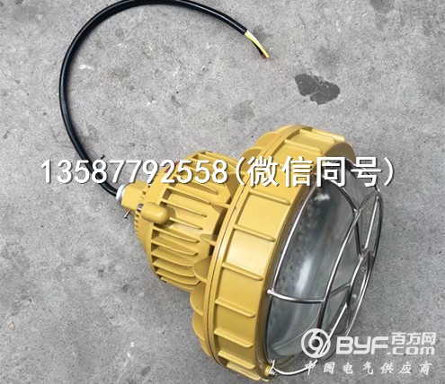 60W50W40W LED防爆灯