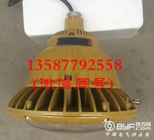 LED免维护防爆灯 30W