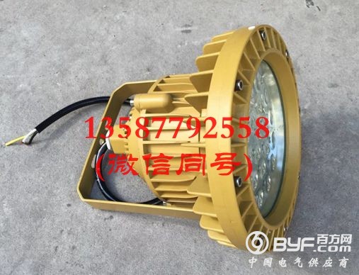 30W免维护LED防爆工厂灯30W 220V