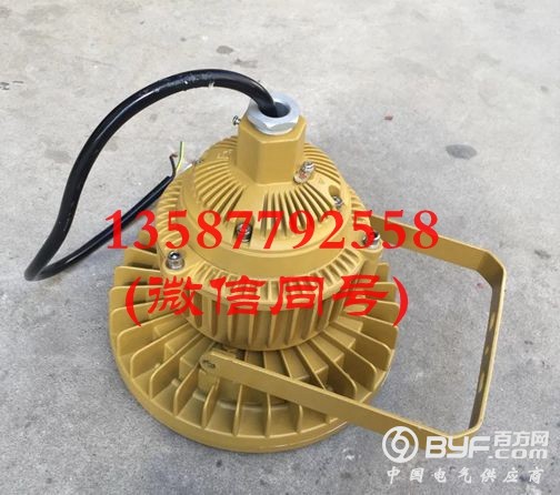 30W免维护LED防爆工厂灯30W-1
