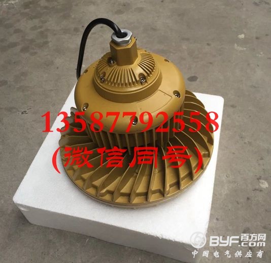 60W LED防爆灯 防爆LED灯60W-1