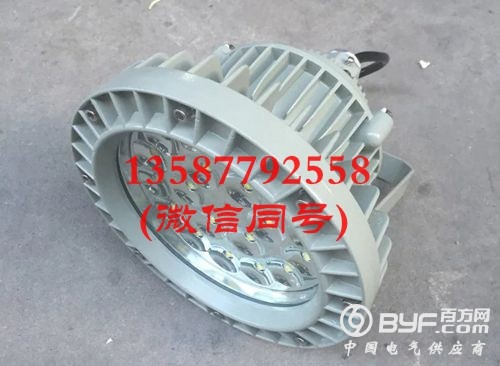 LED防爆灯 20W30W40W