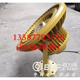 70WLED防爆投光灯-70W防爆LED投射灯工厂灯价格图3