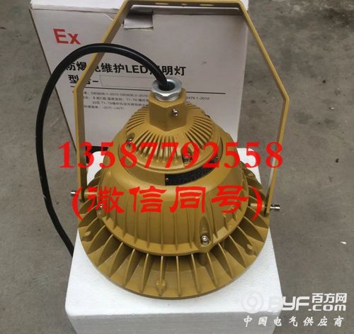 LED免维护防爆灯 20W