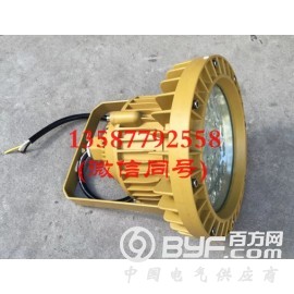 厂家直销60WLED防爆壁灯 粮食仓库60Wled防爆灯图2