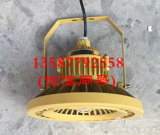 防爆免维护LED照明灯 20W