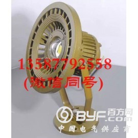 led防爆灯80w价格-100w防爆led灯厂家/价格/批发图2