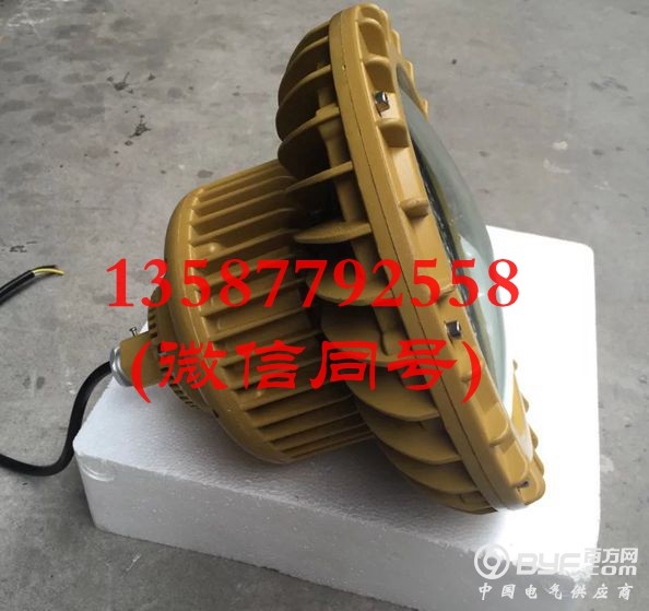 60W LED防爆灯 防爆LED灯60W-2
