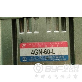 4GN-60-L 直线减速电机