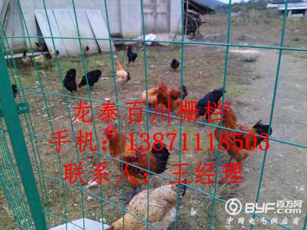 QQ图片20151105095853_副本