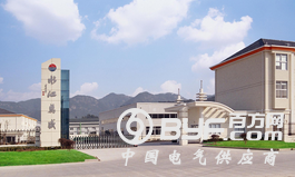 标的业绩连续亏损 万盛股份跨界收购遭质疑