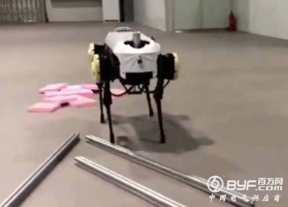 这个机器人太恐怖 浙大机器人没有头
