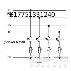 T1级后备保护器分断能力100KA图2
