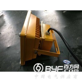 LED防爆投光灯30W防水防爆壁灯防爆吸顶灯BFC8188图2