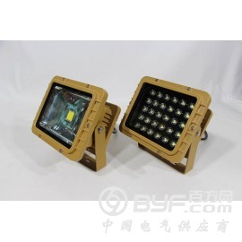 LED防爆投光灯8188D40W50W防爆投光灯 多颗灌胶款图2