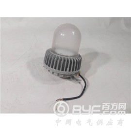 深罩型LED防爆泛光灯20W30W防爆泛光灯防爆照明灯图2