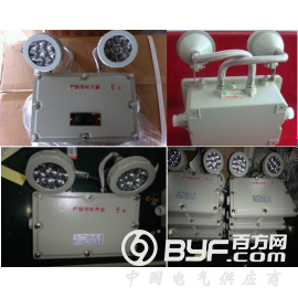 LED双头防爆应急灯BFC8185图2