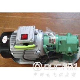 源鸿泵业发货福建建阳手提泵图2