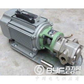 沧州源鸿WCB-50小型便携式手提泵，高温食用油泵图3