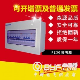 江西森源生产PZ30照明箱 启动箱 控制箱 电源箱