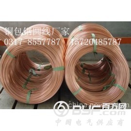 惠丰铜包钢接地圆线生产厂家，铜覆钢接地圆线报价图2