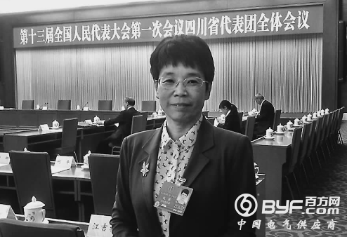 两会访谈丨赵萍：系统降本促风电高质量开发