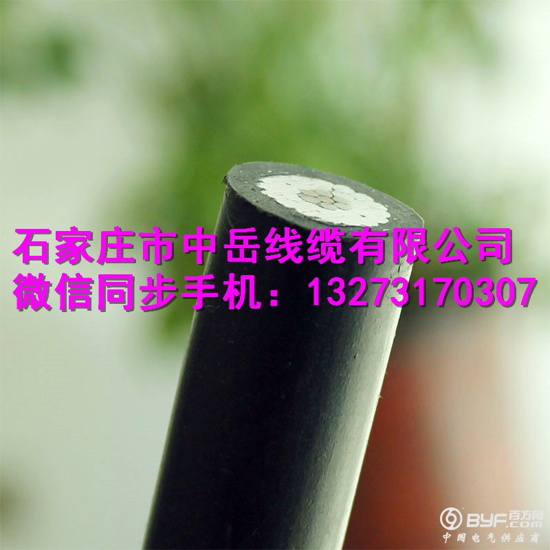 1 - 副本