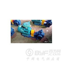 YCB系列圆弧齿轮泵品质保证厂家直供