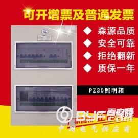 江西森源生产 PZ30配电箱 启动箱 电源箱 控制箱