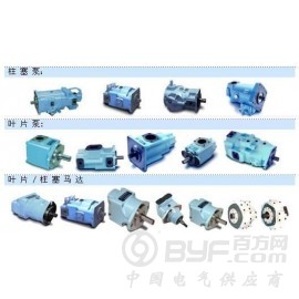 T6DM -B38-3R03-C1M0美国丹尼逊叶片泵图3