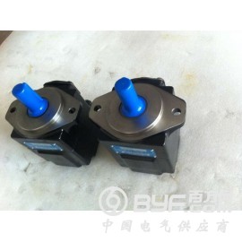 T6DC-035-010-1R00美国DENISON叶片泵图2