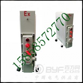 煤安防爆取暖器，矿用防爆电热取暖器，防爆油丁图2