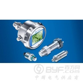 瑞士Baumer堡盟 过程仪表图2