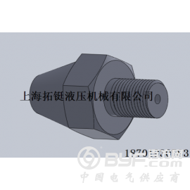 采样接头DN15-DN25图2