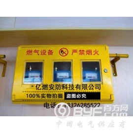 供应山东燃气表箱生产厂家 燃气表箱加工 燃气表箱特点