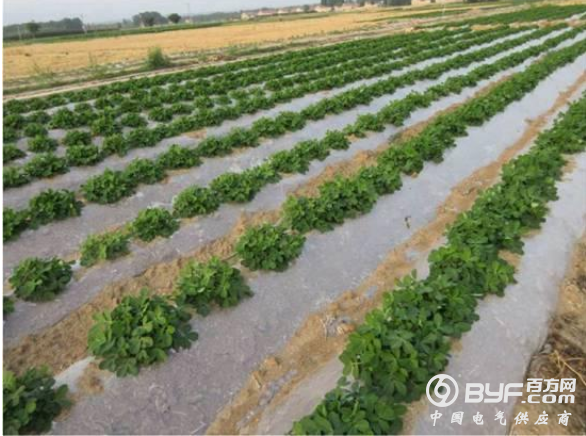 限塑令落地10年效果如何?媒体:大量生产 大量废弃
