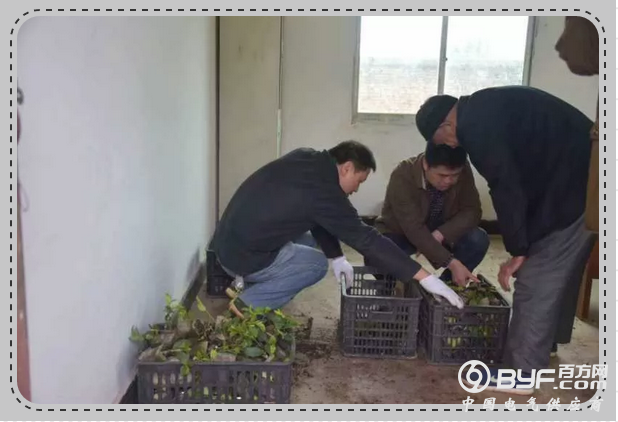 国家电网一职工因公殉职