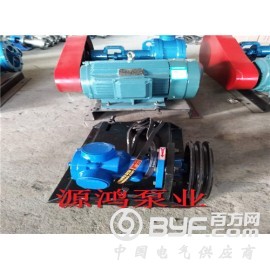 源鸿现货销售NYP30-1.0高粘度转子泵，环氧树脂泵图3