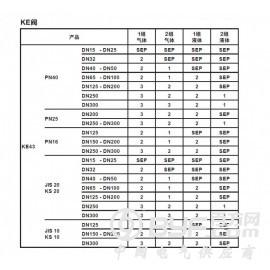 原装斯派莎克KE43控制阀图3