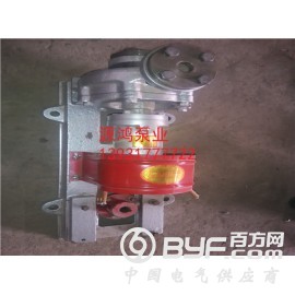 沧州源鸿RY65-50-160防爆柴油机导热油泵，RY热油泵图2