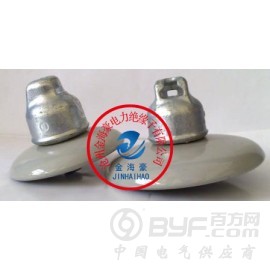 XP-10 盘形悬式瓷绝缘子