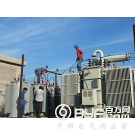 10kv线路调压器图2