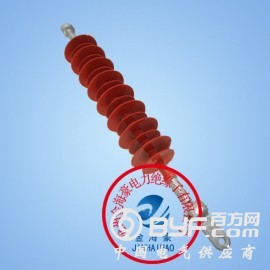 FXBW4-10/100复合绝缘子