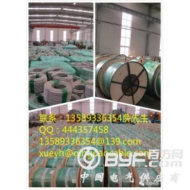 集装箱房屋用金属铠装电缆MC图3