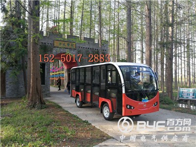 11座  14座 带门电动观光车 (49)