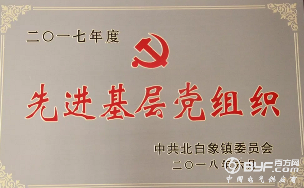 罗格朗集团党支部荣获&ldquo;先进基层党组织&rdquo;，张相永董事长荣获&ldquo;优秀共产党员&rdquo;