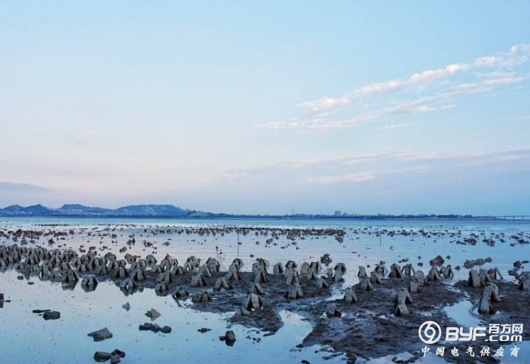 【聚焦】滨海建成亚洲最大海上风电场