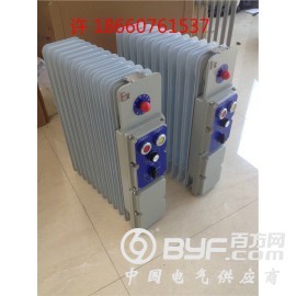供应防爆电热油汀取暖器