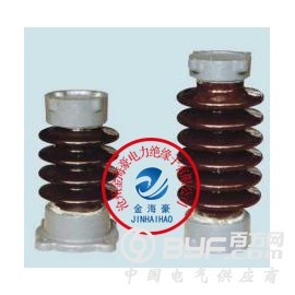 ZS-60/8支柱绝缘子